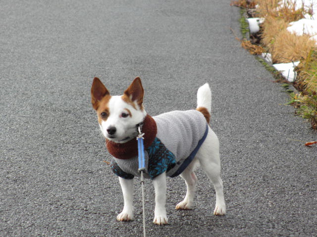 2013120106.jpg