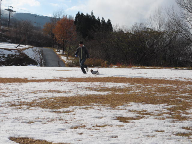 2013120107.jpg