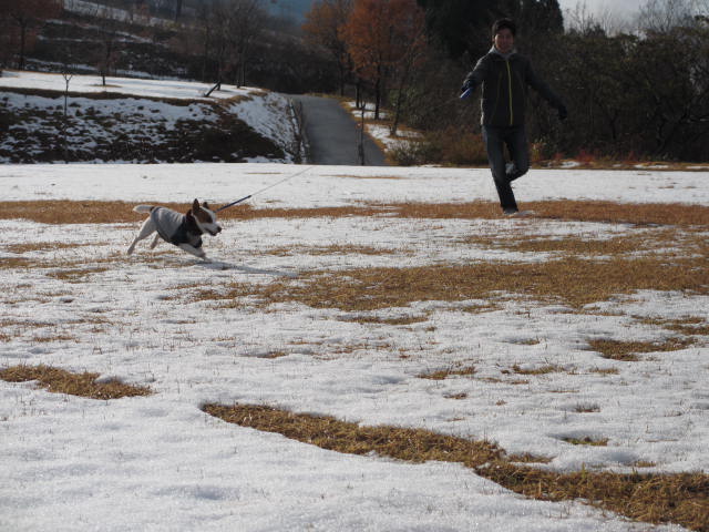 2013120108.jpg