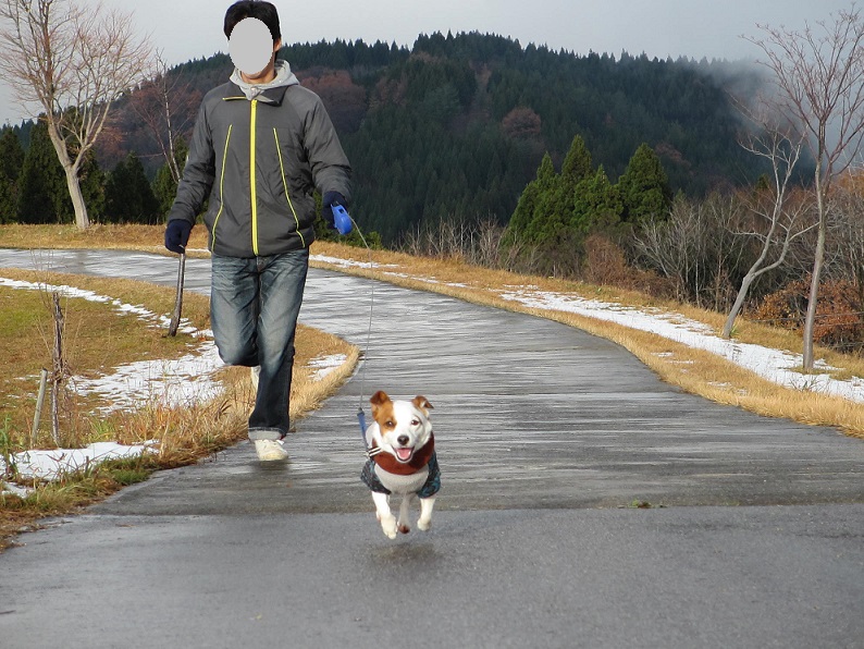 2013120109.jpg