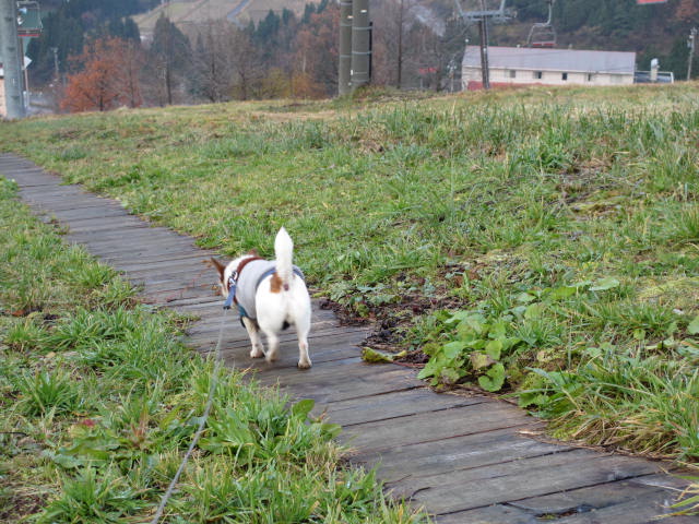 2013120110.jpg