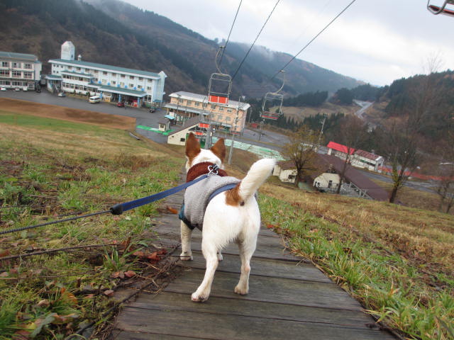 2013120111.jpg