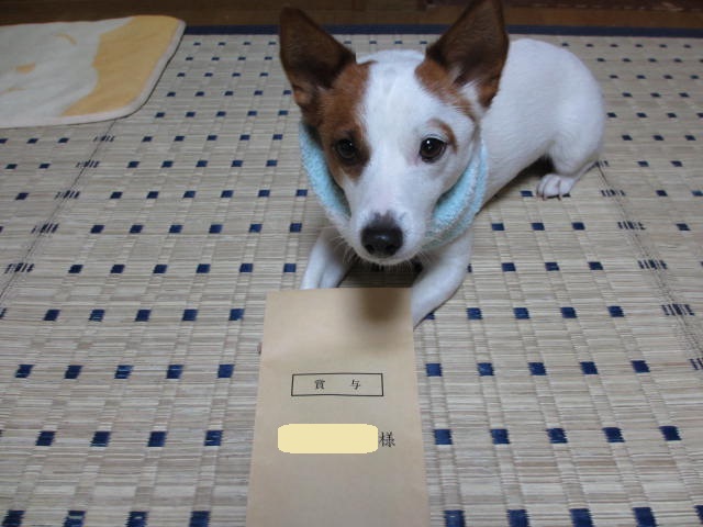 2013121301.jpg