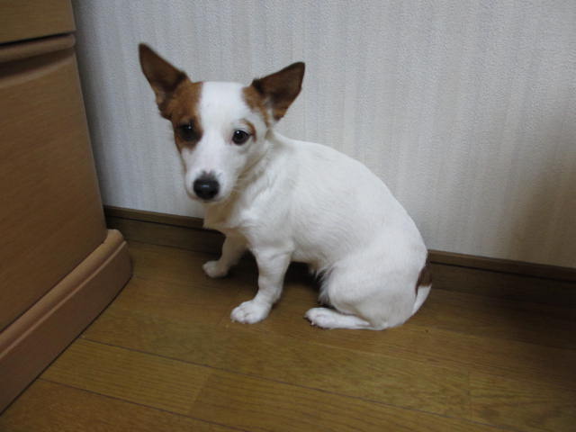 2013121702.jpg