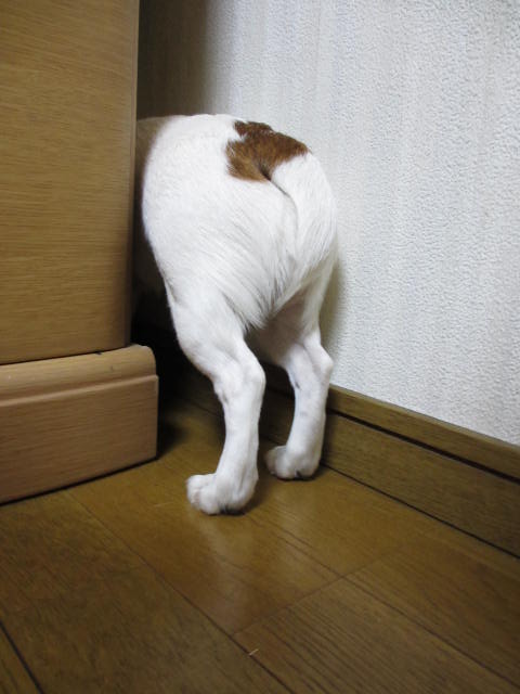 2013121703.jpg