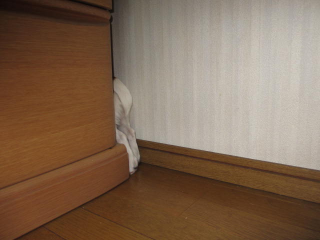 2013121704.jpg