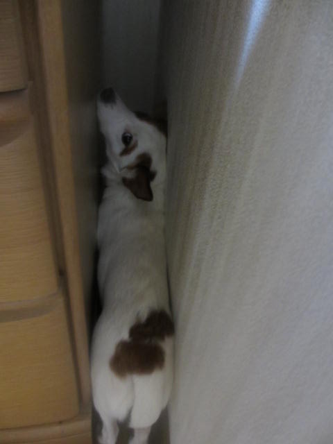 2013121706.jpg