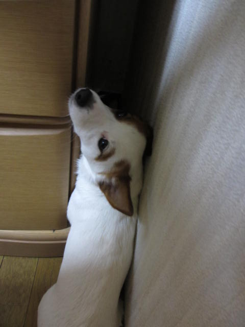 2013121707.jpg