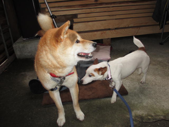 2013122210.jpg