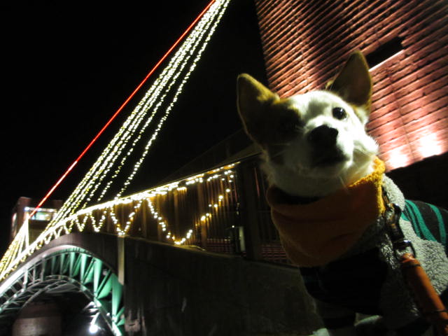 2013122304.jpg