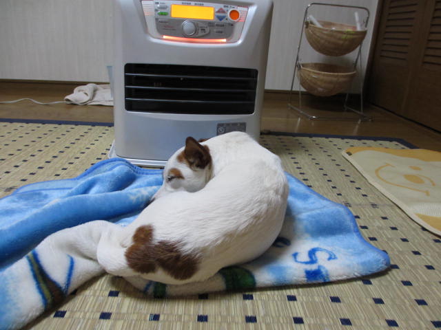 2013122401.jpg
