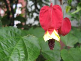 IMG_4214.jpg