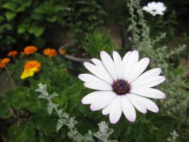 IMG_4216_20130702193115.jpg