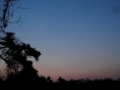 Jogging_14020_6-19.jpg
