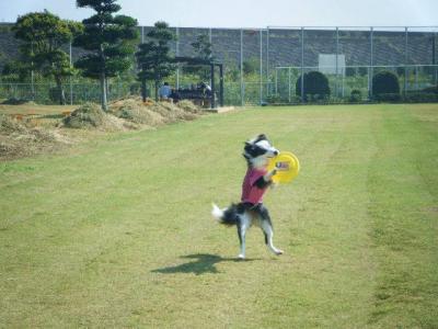 DSCF4621.jpg