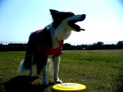DSCF4631.jpg