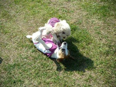 DSCF4668.jpg