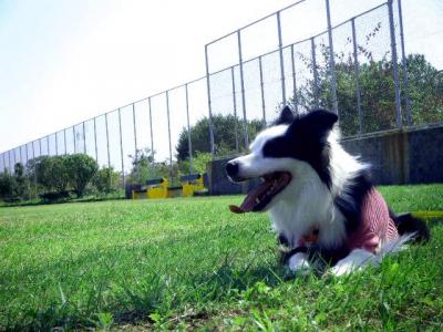 DSCF4675.jpg