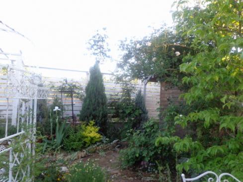 DSC01159.jpg