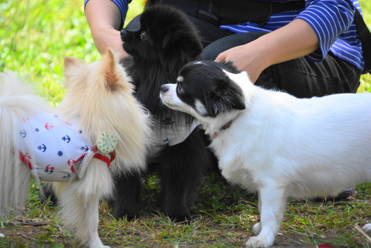 535px20140930_FUGA-03.jpg