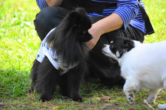 535px20140930_FUGA-04.jpg