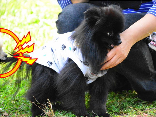 535px20140930_FUGA-05-2.jpg