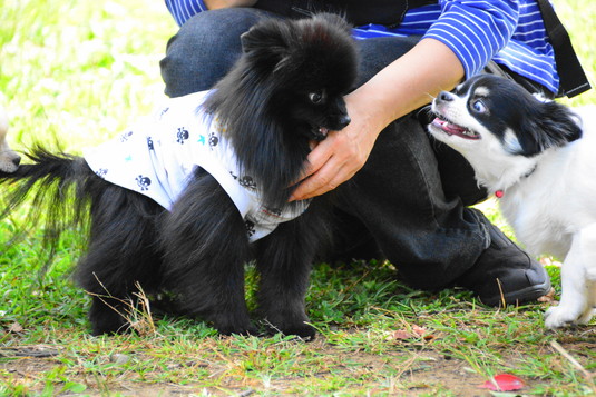535px20140930_FUGA-05.jpg