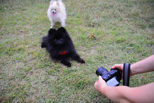 535px20141004_sibling-002.jpg