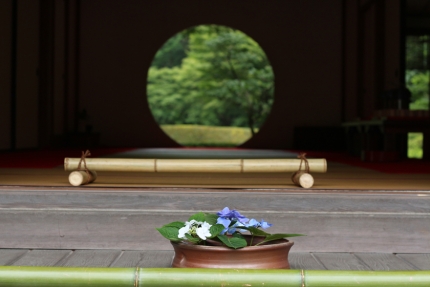 明月院 066