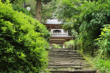 浄智寺2 003