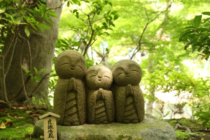 長谷寺2 020
