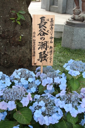 長谷寺2 023