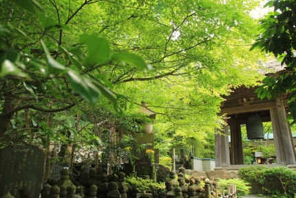 報国寺 010