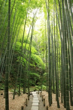 報国寺 022