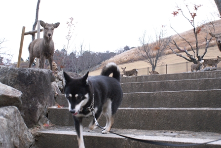 DSC06555_R.jpg