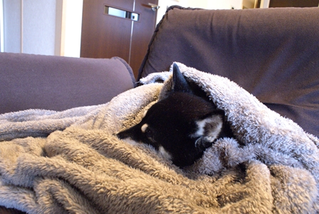 DSC06569_R.jpg