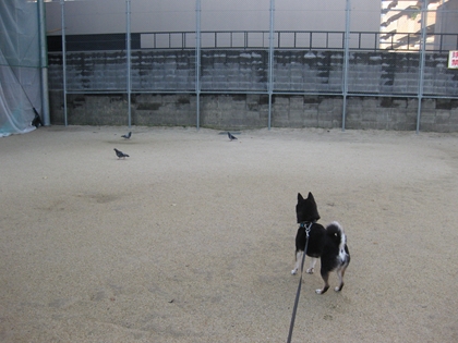 IMG_3226_R.jpg