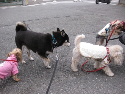 IMG_3228_R.jpg