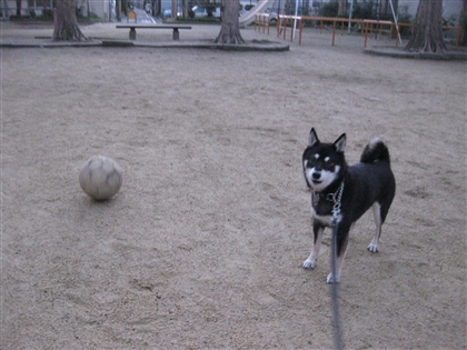 IMG_3232_R.jpg