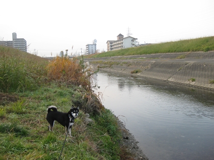 IMG_3246_R.jpg