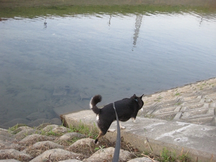 IMG_3248_R.jpg