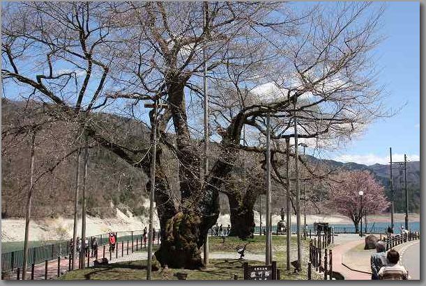 合掌村 174