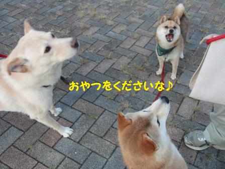 おやつ