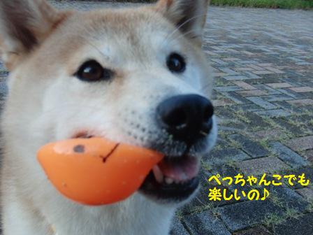 楽しいの