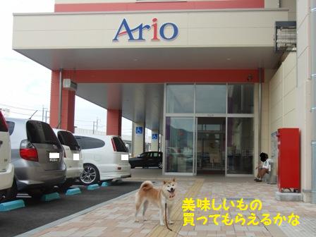 アリオ