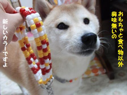 興味無い