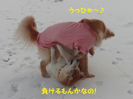 負けるもんか