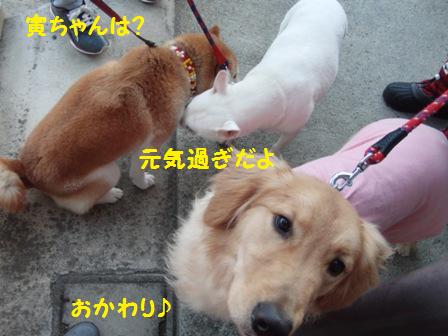 おかわり