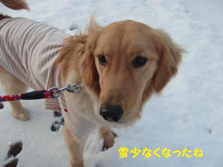 ハルちゃん