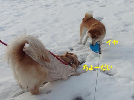 ちょうだい